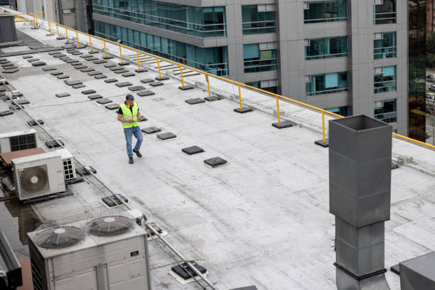 Best Sheet Metal Roofing  in Kaumakani, HI