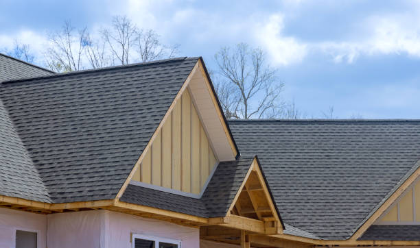 Best Asphalt Shingles Roofing  in Kaumakani, HI