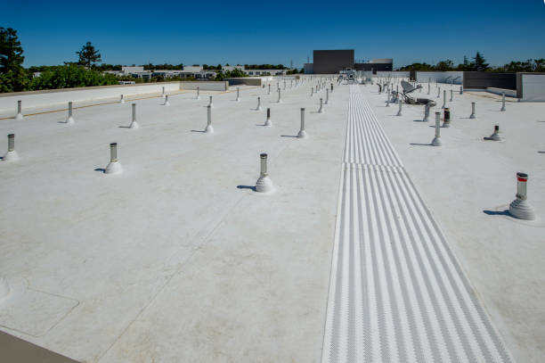 Best Metal Roofing Installation  in Kaumakani, HI